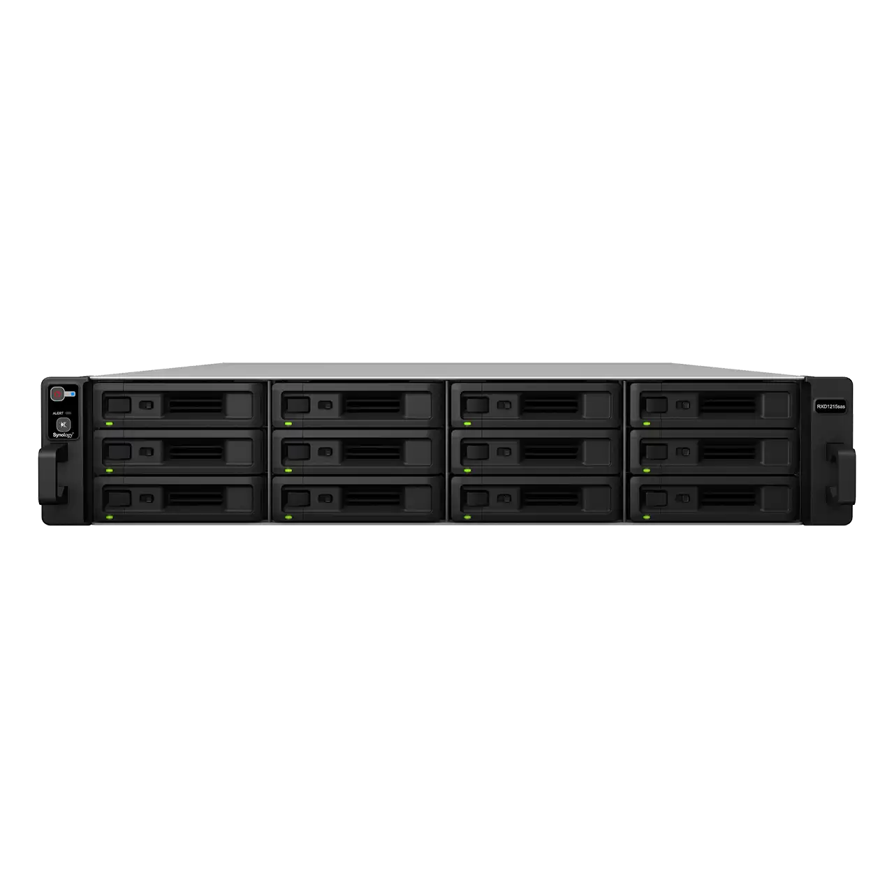 Expansion Unit RXD1215sas
