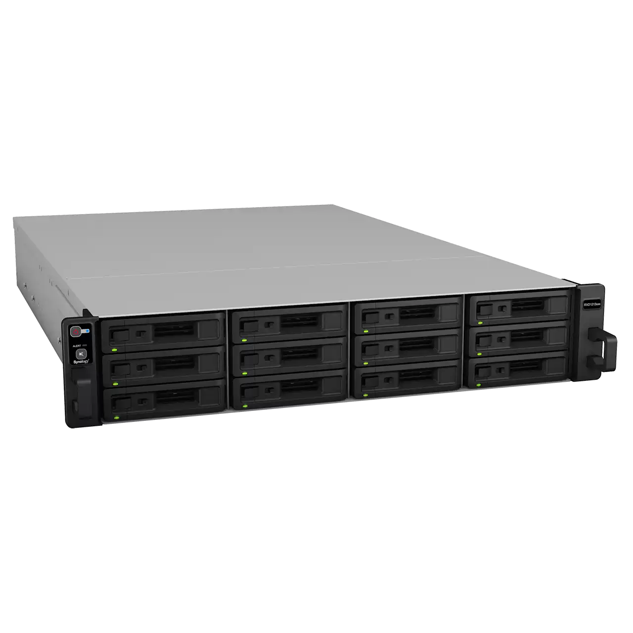 Expansion Unit RXD1215sas